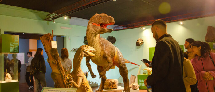 474532831_929335072638058_704946507805262275_n