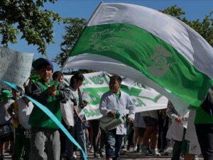 WhatsApp Image 2025-11-26 at 13.58.59 (1)