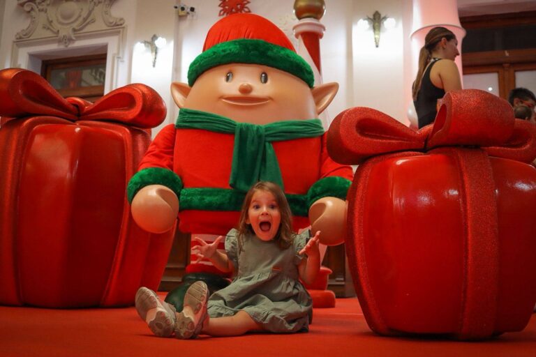 601433957_1311869264304682_4367009268372662574_n